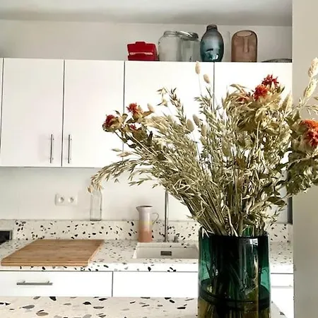 Jaren 60 Op Boogscheut De Zee * Ostenda