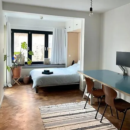 Spacious Mid-century Design Close To The & Centre Appartement Ostende